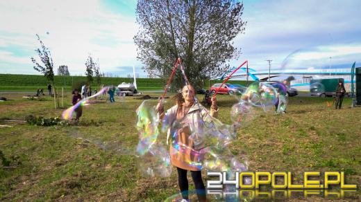 Mieszkańcy miasta posadzili 100 drzew