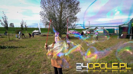 Mieszkańcy miasta posadzili 100 drzew