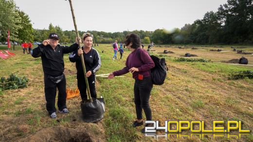 Mieszkańcy miasta posadzili 100 drzew