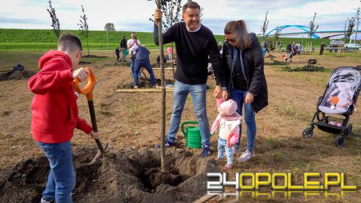 Mieszkańcy miasta posadzili 100 drzew