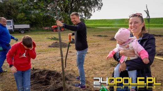 Mieszkańcy miasta posadzili 100 drzew
