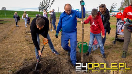 Mieszkańcy miasta posadzili 100 drzew