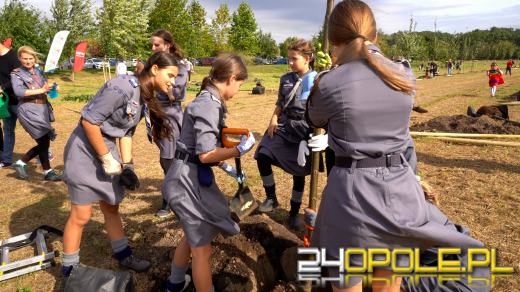 Mieszkańcy miasta posadzili 100 drzew