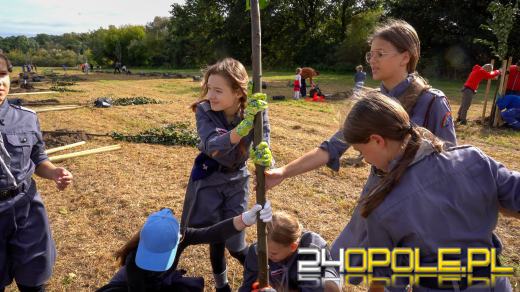 Mieszkańcy miasta posadzili 100 drzew