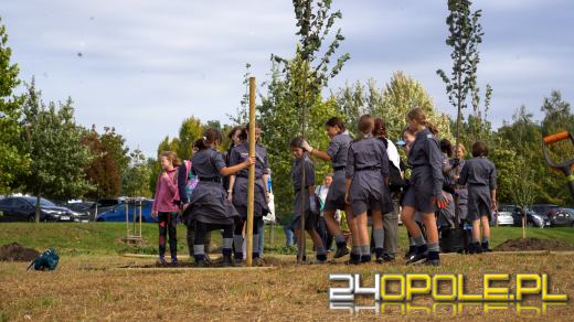 Mieszkańcy miasta posadzili 100 drzew