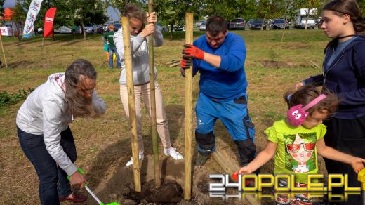 Mieszkańcy miasta posadzili 100 drzew