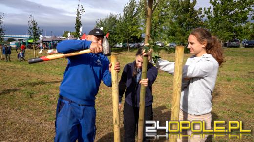 Mieszkańcy miasta posadzili 100 drzew