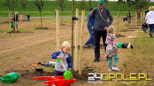 Mieszkańcy miasta posadzili 100 drzew