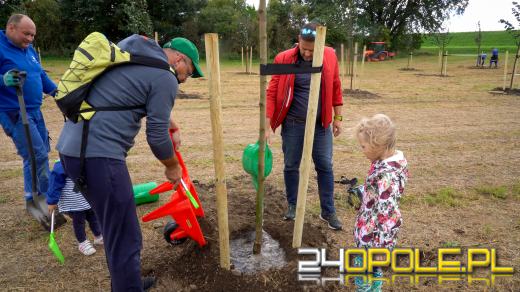 Mieszkańcy miasta posadzili 100 drzew