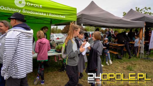 Mieszkańcy miasta posadzili 100 drzew