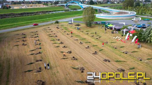 Mieszkańcy miasta posadzili 100 drzew
