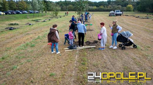 Mieszkańcy miasta posadzili 100 drzew