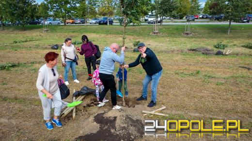 Mieszkańcy miasta posadzili 100 drzew