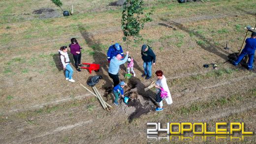 Mieszkańcy miasta posadzili 100 drzew