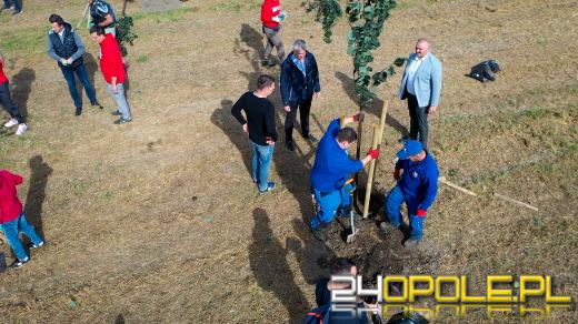Mieszkańcy miasta posadzili 100 drzew
