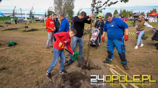 Mieszkańcy miasta posadzili 100 drzew