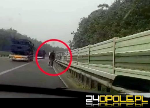 Łapał "stopa" na autostradzie A4