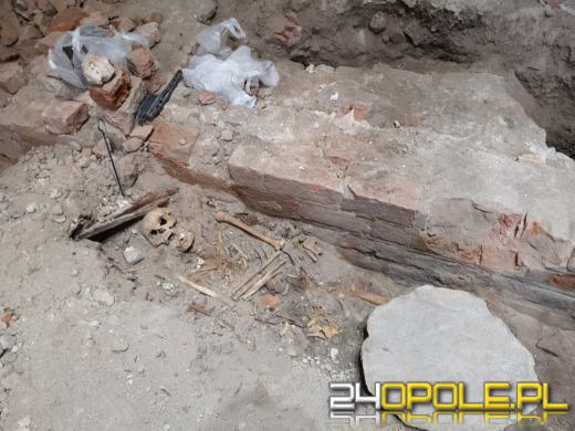 Archeolodzy w szoku. Biskup zdecydował zasypać odnalezione relikwia 