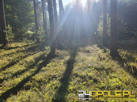 Jaka pogoda na weekend?