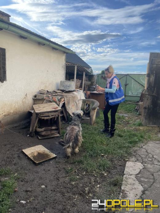 "Pieskie piekło" w powiecie prudnickim. TOZ odebrało 5 psów