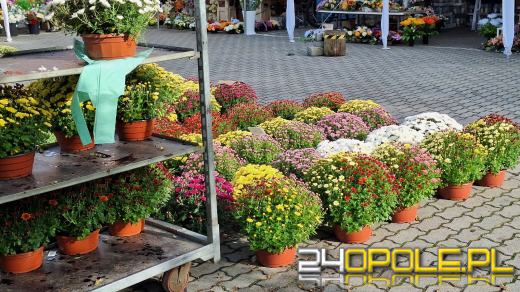 Cena zniczy szokuje. Kosztują w Opolu nawet 250 zł!