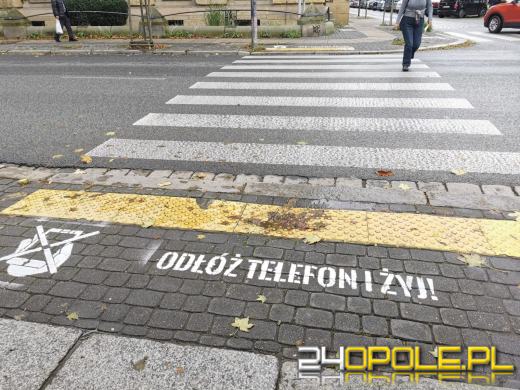 "Odłóż telefon i żyj". Hasło namalowano przy kilkudziesięciu skrzyżowaniach w Opolu
