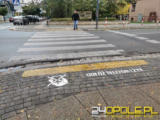 "Odłóż telefon i żyj". Hasło namalowano przy kilkudziesięciu skrzyżowaniach w Opolu
