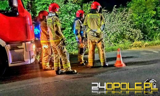 Służby interweniowały w Opolu-Czarnowąsach. Kierowca toyoty wjechał do rowu