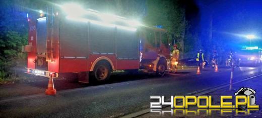 Służby interweniowały w Opolu-Czarnowąsach. Kierowca toyoty wjechał do rowu