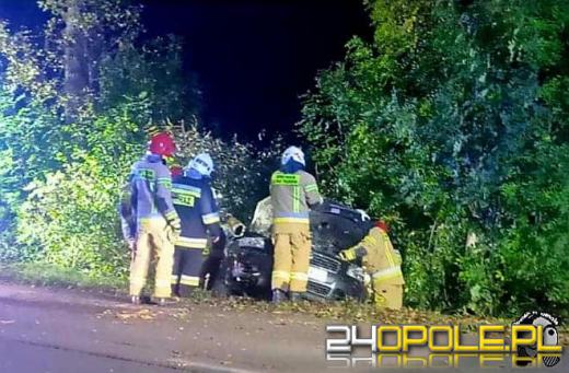 Służby interweniowały w Opolu-Czarnowąsach. Kierowca toyoty wjechał do rowu