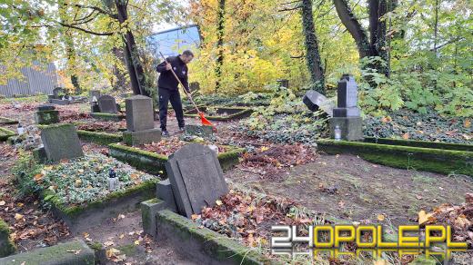 Tam już nikt nie zapala znicza. Młodzież Wszechpolska ocala od zapomnienia stary cmentarz