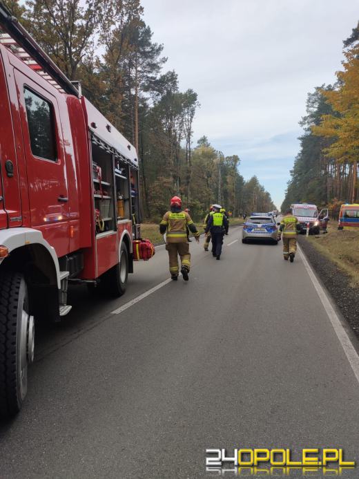 Zderzenie samochodu osobowego z ciężarowym w Kolonowskiem