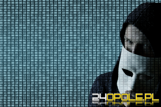 Rocznie tracimy 140 mln zł przez oszustów