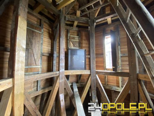 "Mieszkanie" dla sokoła wędrownego w...opolskiej katedrze