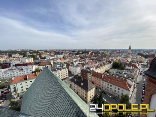 "Mieszkanie" dla sokoła wędrownego w...opolskiej katedrze