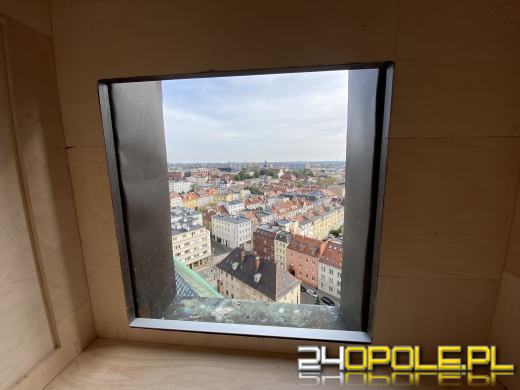 "Mieszkanie" dla sokoła wędrownego w...opolskiej katedrze