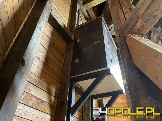 "Mieszkanie" dla sokoła wędrownego w...opolskiej katedrze