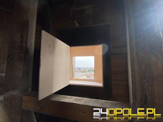 "Mieszkanie" dla sokoła wędrownego w...opolskiej katedrze