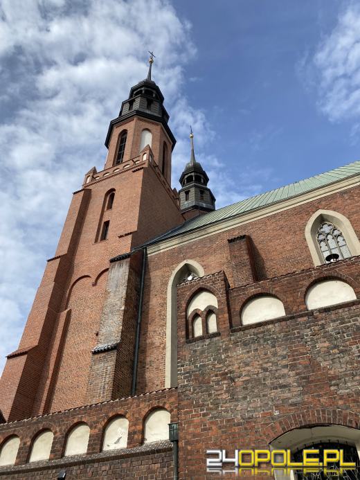 "Mieszkanie" dla sokoła wędrownego w...opolskiej katedrze