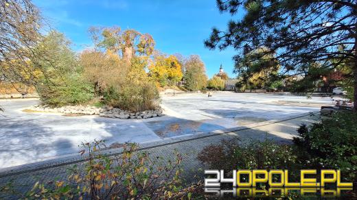 Staw Zamkowy w Opolu zachęcająco nie wygląda, ale będzie piękny