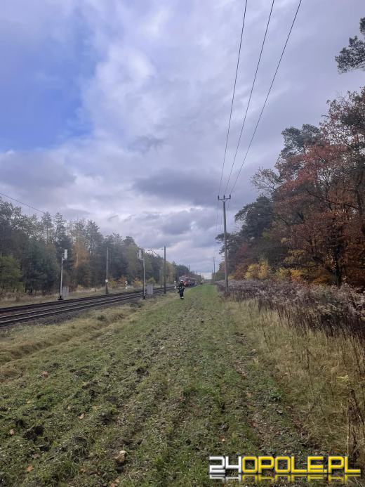 Strażacy wyciągali młodą kobietę spod pociągu. Trafiła do szpitala