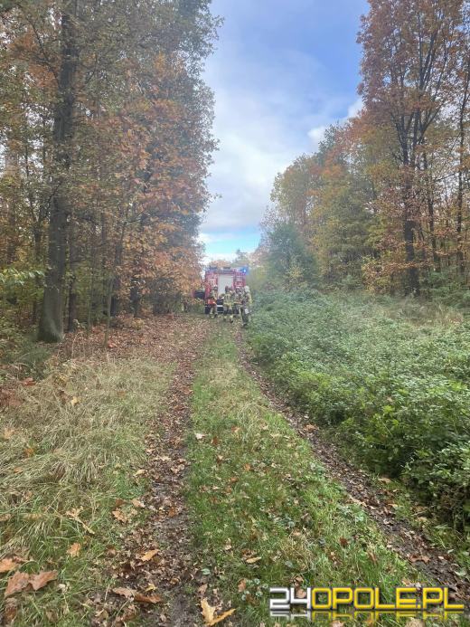 Strażacy wyciągali młodą kobietę spod pociągu. Trafiła do szpitala