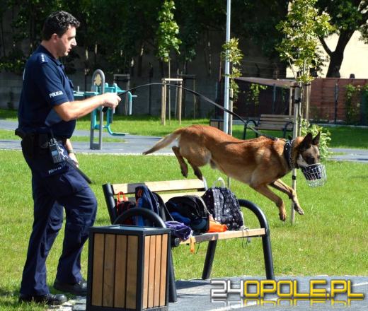 Policyjny pies Dżony po 10 latach służby przeszedł na emeryturę