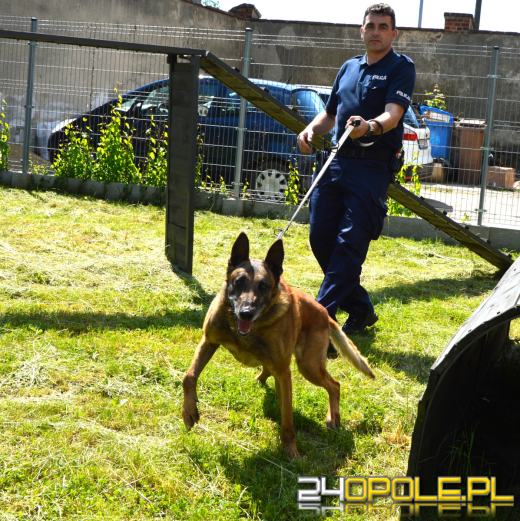Policyjny pies Dżony po 10 latach służby przeszedł na emeryturę