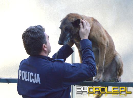 Policyjny pies Dżony po 10 latach służby przeszedł na emeryturę