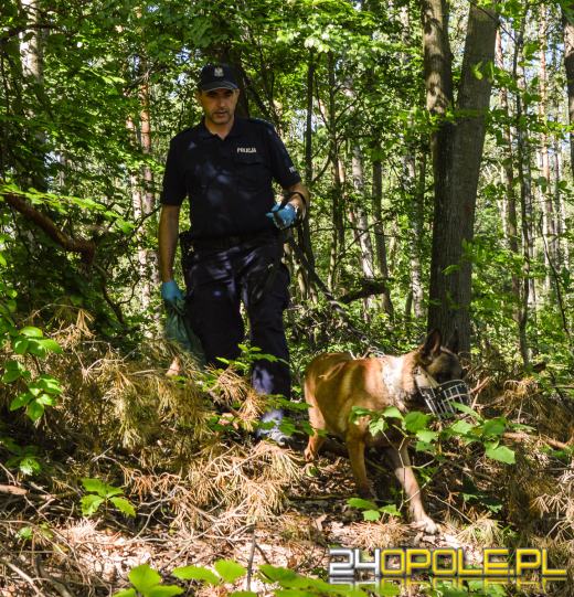 Policyjny pies Dżony po 10 latach służby przeszedł na emeryturę