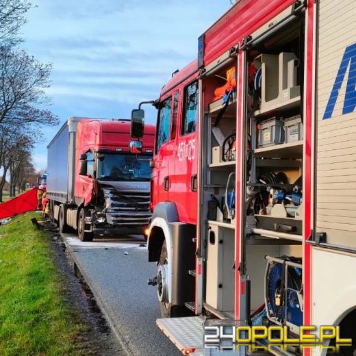 Tragiczne zdarzenie drogowe pomiędzy Namysłowem a Wilkowem