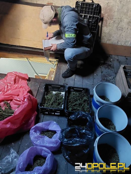 Zatrzymani za posiadanie znacznych ilości narkotyków