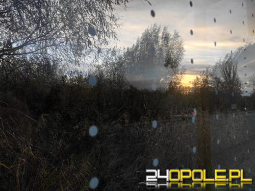 Zabezpieczają szyby, by ptaki mogły żyć