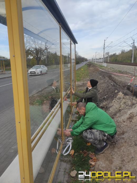 Zabezpieczają szyby, by ptaki mogły żyć